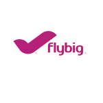 Flybig